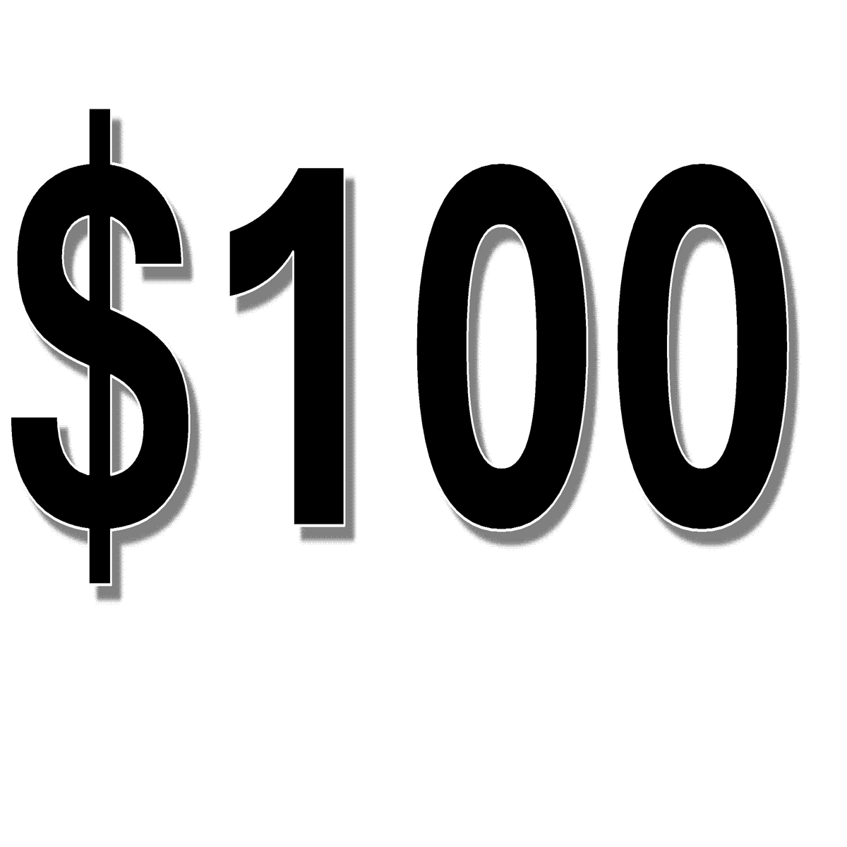 Visitor Donation $100