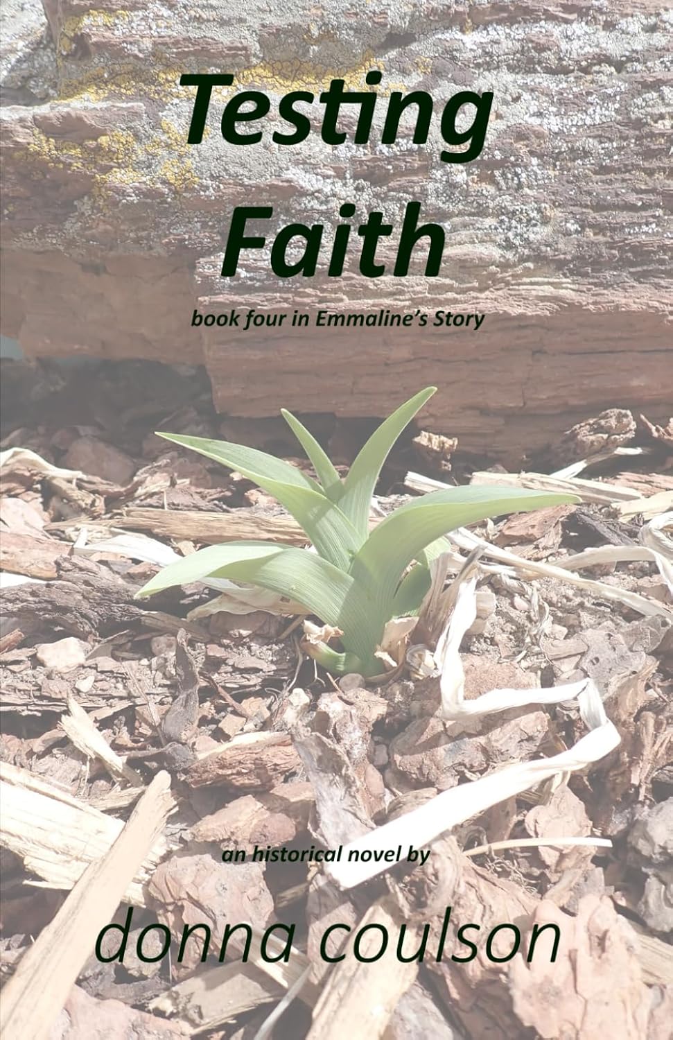 Testing Faith (Emmaline's Story)