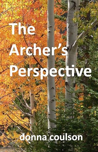 The Archer's Perspective