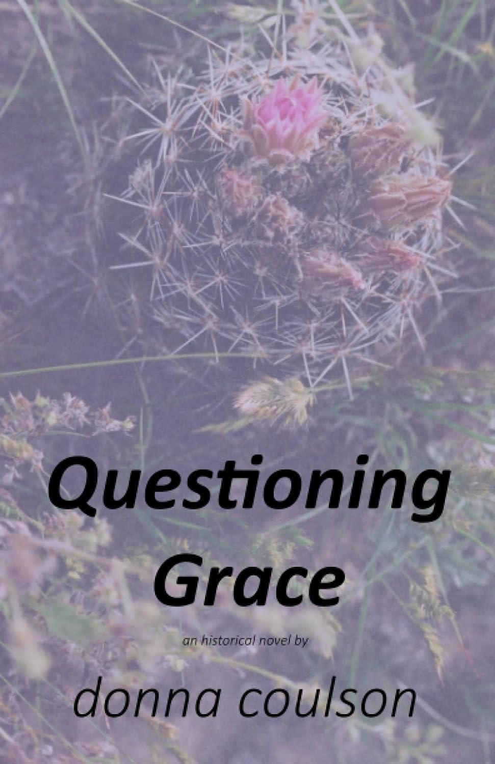 Questioning Grace (Emmaline's Story)