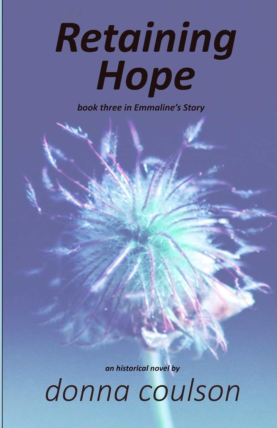 Retaining Hope (Emmaline's Story)