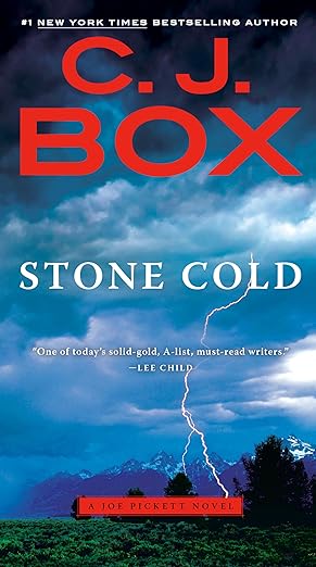 Stone Cold (A Joe Pickett Novel #14) - Paperback