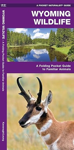 Wyoming Wildlife: A Folding Pocket Guide to Familiar Animals (Wildlife and Nature Identification)